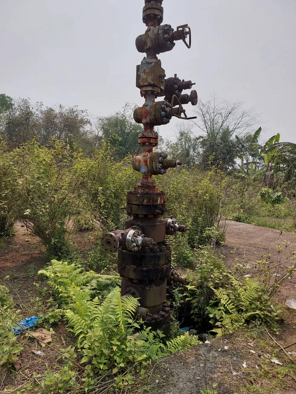 Project-Amguri
